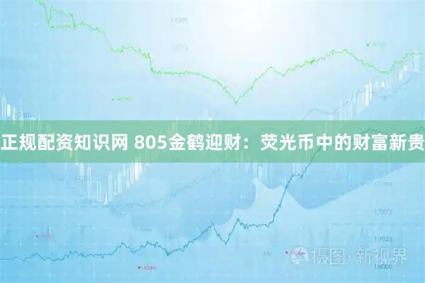 正规配资知识网 805金鹤迎财：荧光币中的财富新贵