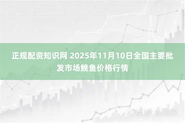正规配资知识网 2025年11月10日全国主要批发市场鮸鱼价格行情